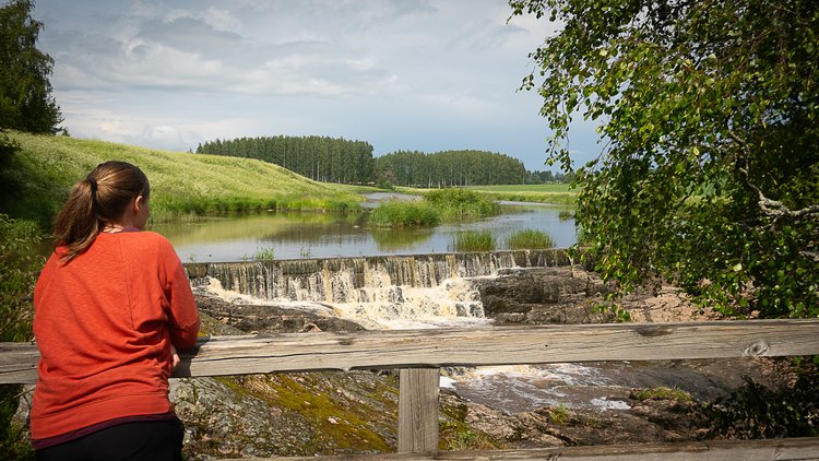 Tienvarsi tutuksi – Liedon Nautelankoski